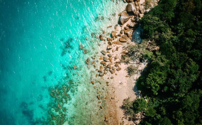 Cairns: Fitzroy Island Ferry with Optional Lunch & Activity - What Makes This Tour Stand Out?