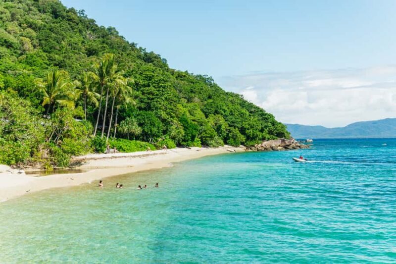Cairns: Fitzroy Island Half-Day with Optional Extras - Exploring the Rainforest