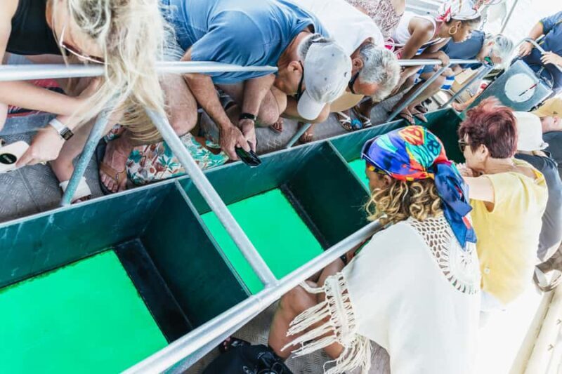 Cairns: Fitzroy Island Half-Day with Optional Extras - Optional Extras and Customization