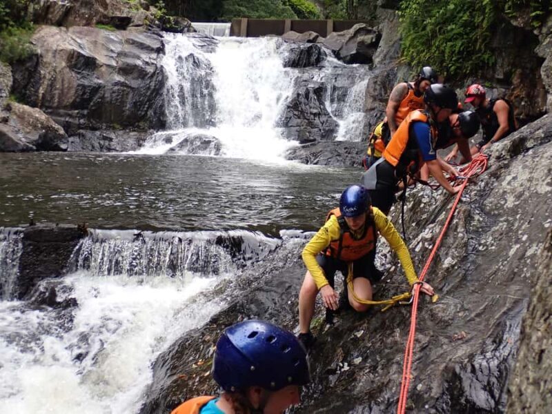 Cairns Full-Day Canyoning Adventure tour - Real Experiences and Honest Insights