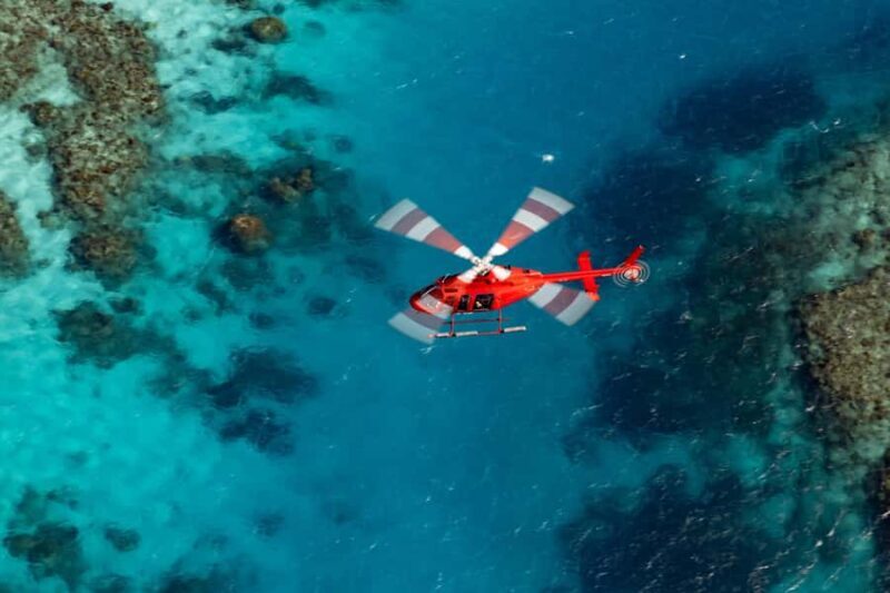 Cairns: Great Barrier Reef 30-Minute Helicopter Flight - What to Expect from the Helicopter Flight