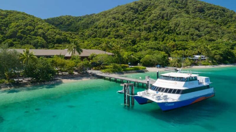 Cairns: Great Barrier Reef and Fitzroy Island Boat Tour - Who Is This Tour Best For?
