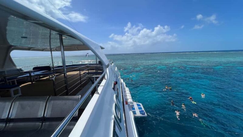 Cairns: Great Barrier Reef Cruise & Scenic Helicopter Flight - Final Thoughts: Is This Tour Right for You?