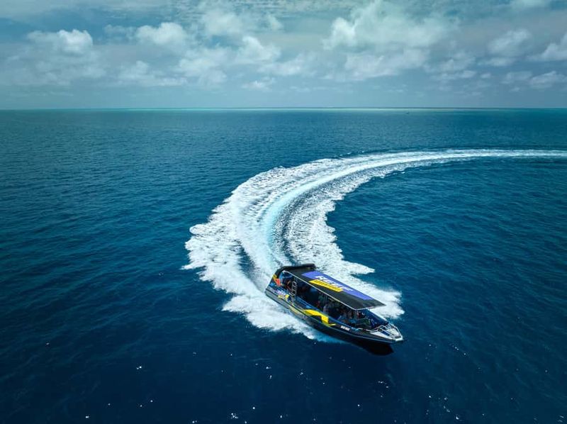 Cairns: Great Barrier Reef Half-Day Snorkelling Tour - Price and value: is $126 a good deal for half a day?