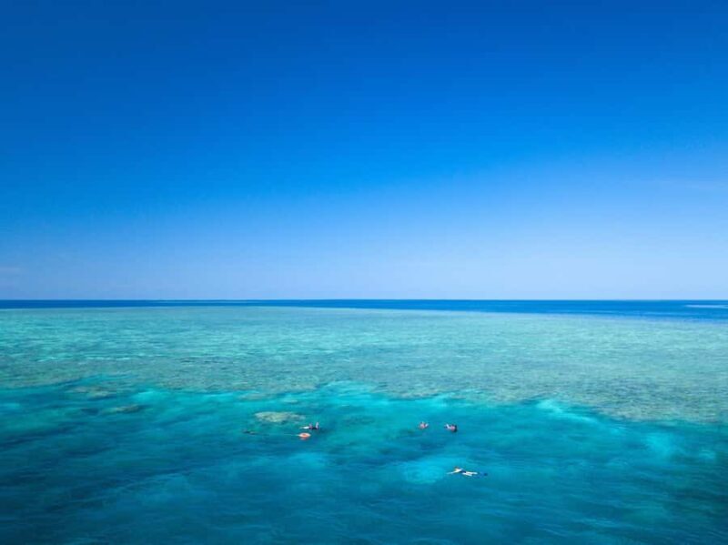 Cairns: Great Barrier Reef Overnight Snorkelling Boat Trip - Comfort and Amenities: Why This Trip Stands Out