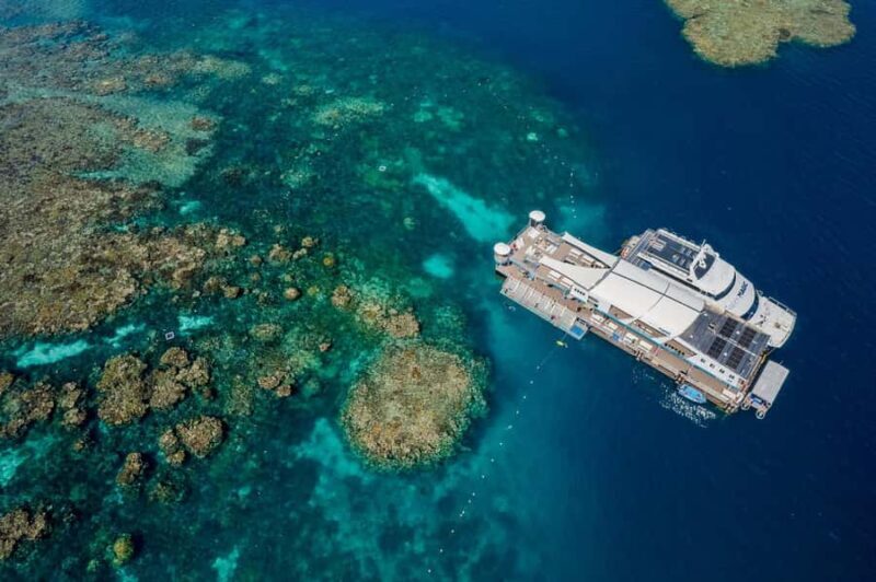Cairns: Great Barrier Reef Pontoon with Water Activities - The Experience in Action: A Day on the Reef