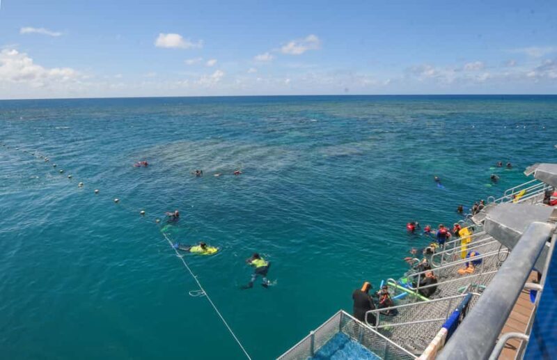 Cairns: Great Barrier Reef Pontoon with Water Activities - Practical Details: What You Need to Know