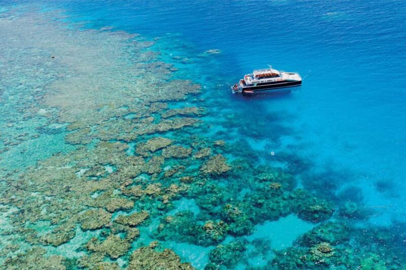 Cairns: Great Barrier Reef Premium Diving Full Day Tour - What to Expect on the Reef Tour