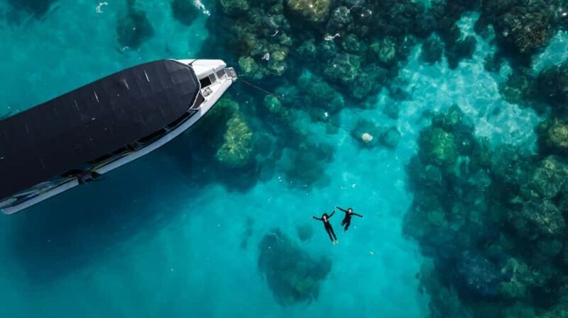 Cairns: Great Barrier Reef Small Group Snorkelling Tour - Practical Details and Tips