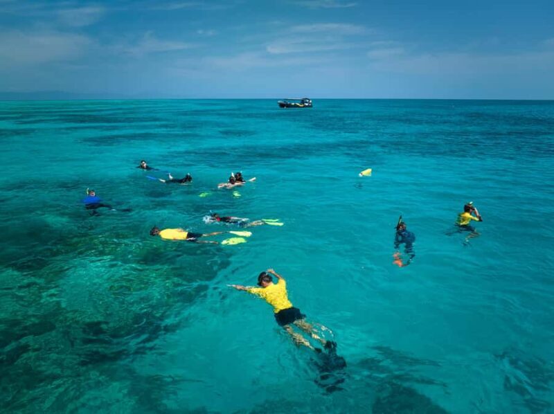 Cairns: Great Barrier Reef Small Group Snorkelling Tour - Frequently Asked Questions