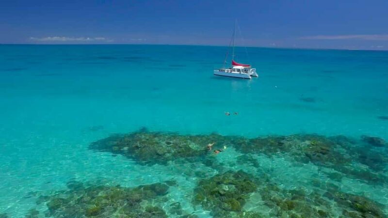 Cairns: Great Barrier Reef Snorkeling Tour with Lunch - What to Expect on the Tour