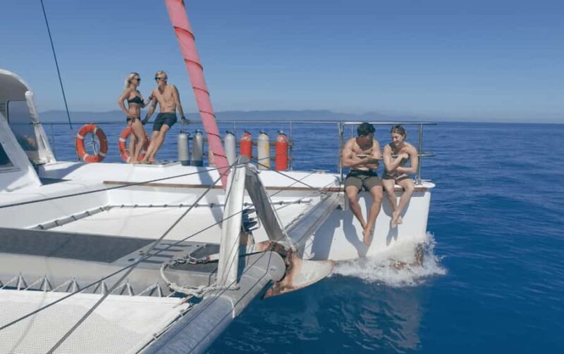 Cairns: Great Barrier Reef Snorkeling Tour with Lunch - Detailed Breakdown of the Experience