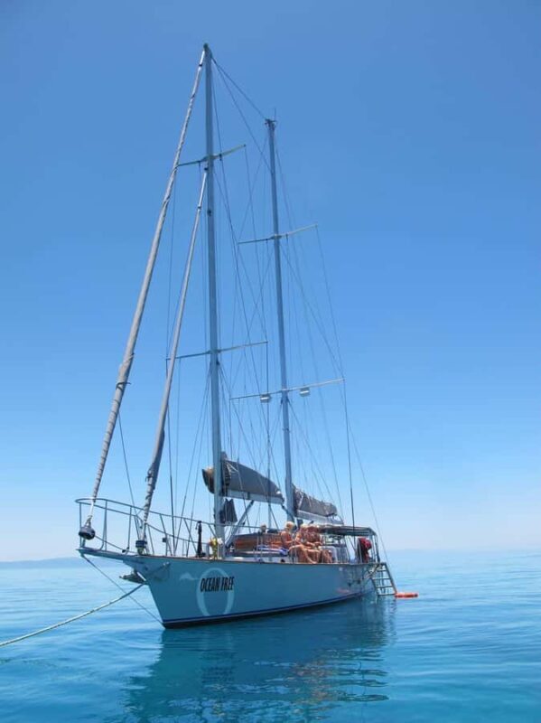 Cairns: Green Island & Great Barrier Reef Sailing Tour - Is This Tour Good Value?