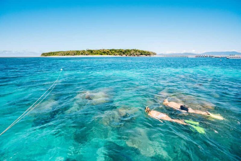 Cairns: Green Island, Snorkelling and Glass-Bottom Boat - Discovering the Green Island Experience: Snorkelling and Glass-Bottom Boat Tour
