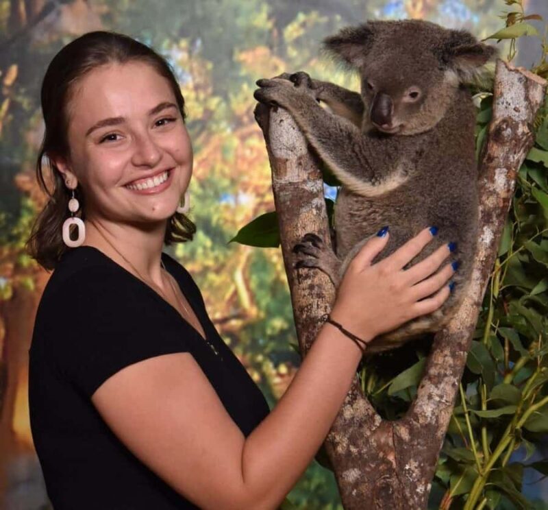 Cairns Koalas and Creatures Entry Ticket with Koala Photo - Key Points