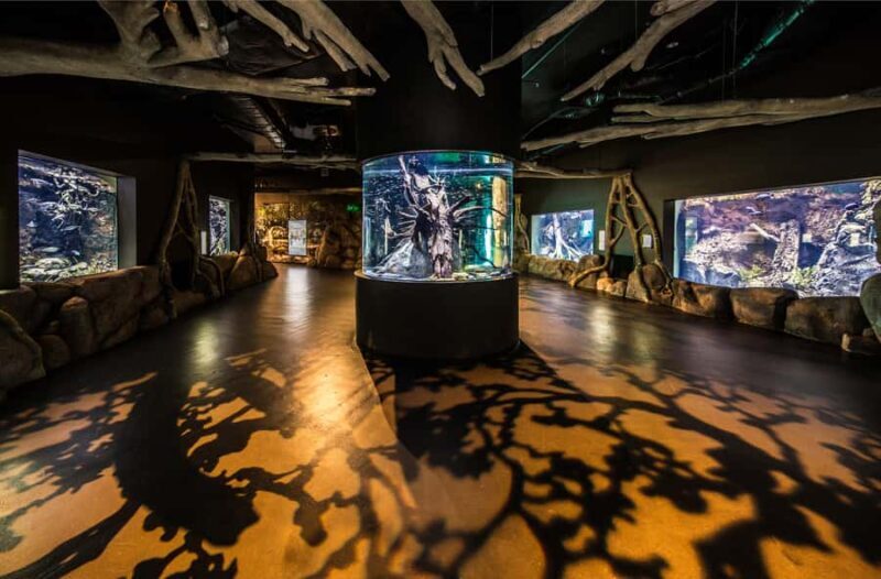 Cairns: Marine Life Encounter - Who Will Love This Tour?