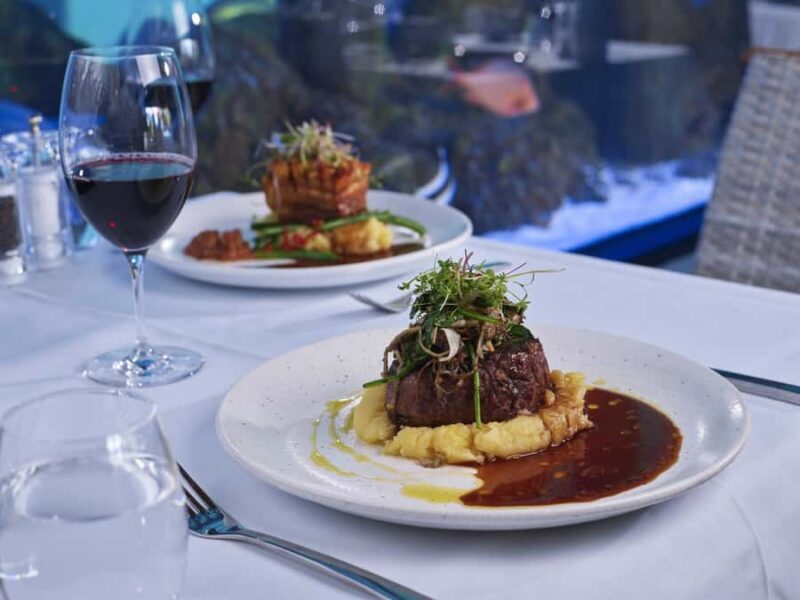 Cairns: Night at the Aquarium Guided Tour & 2 Course Dinner - What to Expect on the Night at the Aquarium Tour