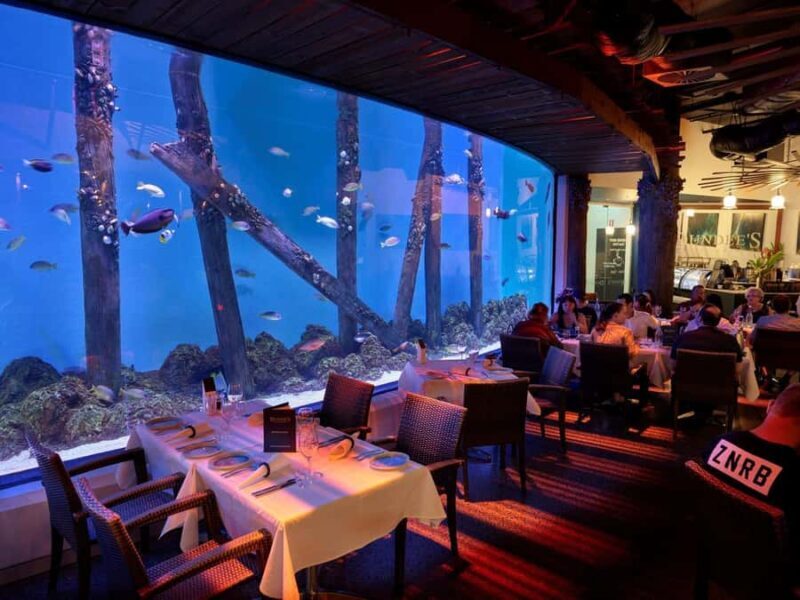Cairns: Night at the Aquarium Guided Tour & 2 Course Dinner - Who Will Love This Tour?