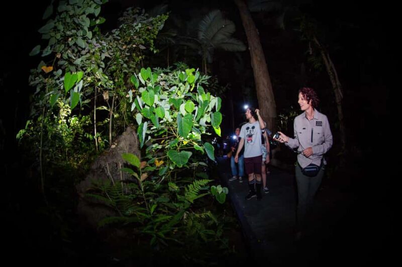 Cairns: Night Walk in Cairns Botanic Gardens - Exploring Cairns Night Walk in Cairns Botanic Gardens