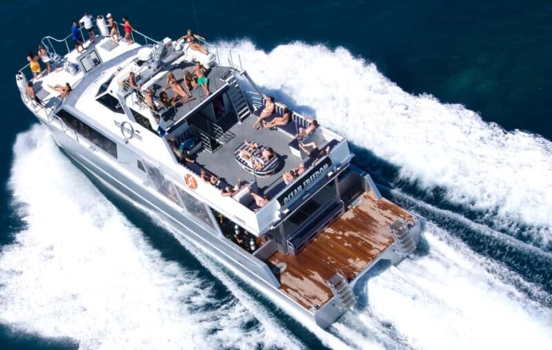 Cairns: Outer and Coral Cay Snorkel and Dive Cruise - Lunch and Relaxation