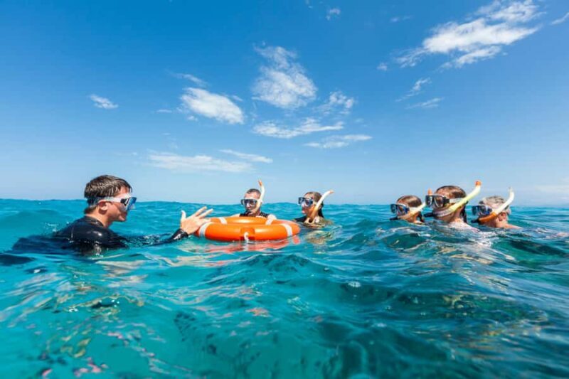 Cairns: Outer and Coral Cay Snorkel and Dive Cruise - The Practical Side: Pricing, Duration, and Suitability