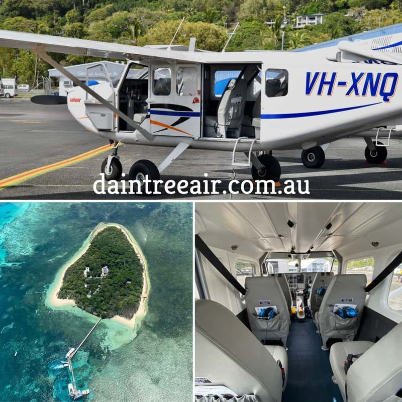 Cairns: Outer Edges of The Great Barrier Reef Scenic Flight - Marine life spotting: turtles, manta rays, dugongs, sharks, and whales