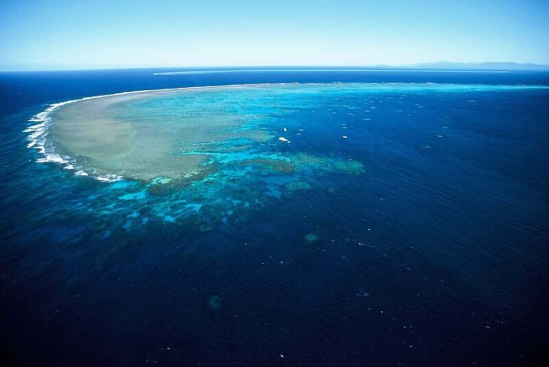 Cairns: Outer Great Barrier Reef Full-Day Tour with Lunch - FAQs about the Cairns Outer Great Barrier Reef Full-Day Tour