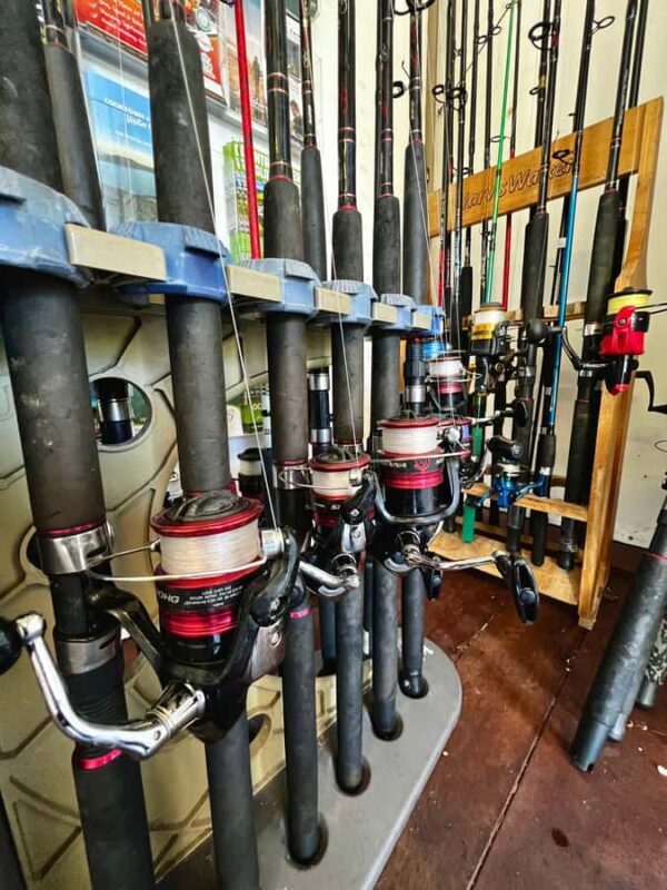 Cairns: Pontoon Boat Hire with Optional BBQ and Fishing Hire - Is This Experience Worth the Cost?