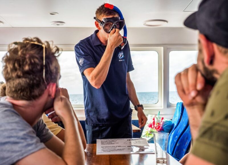 Cairns: Premium Snorkelling and Diving Reef Day Trip - Wrapping Up