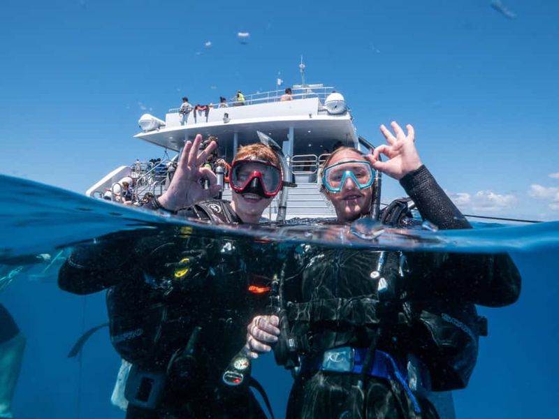 Cairns: Premium Snorkelling and Diving Reef Day Trip - What You’ll See Underwater (And How to Notice It)