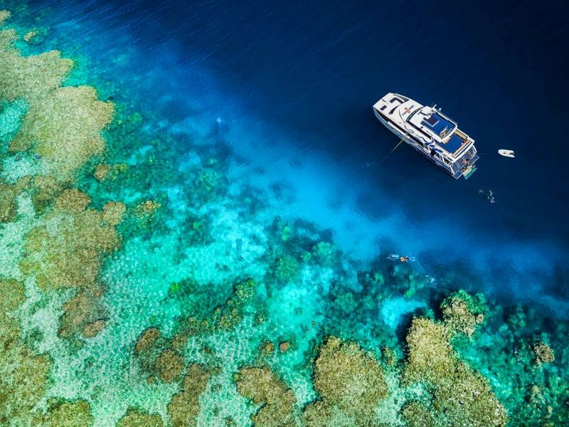 Cairns: Premium Snorkelling and Diving Reef Day Trip - The Food Plan That Makes the Day Feel Fair