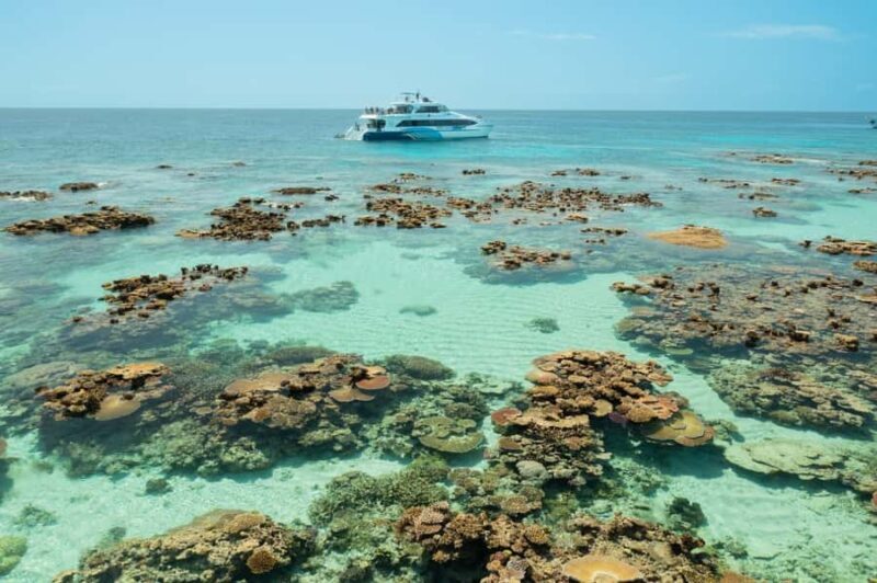 Cairns: Silverswift 3 Great Barrier Reef Sites in 1 Day - FAQ