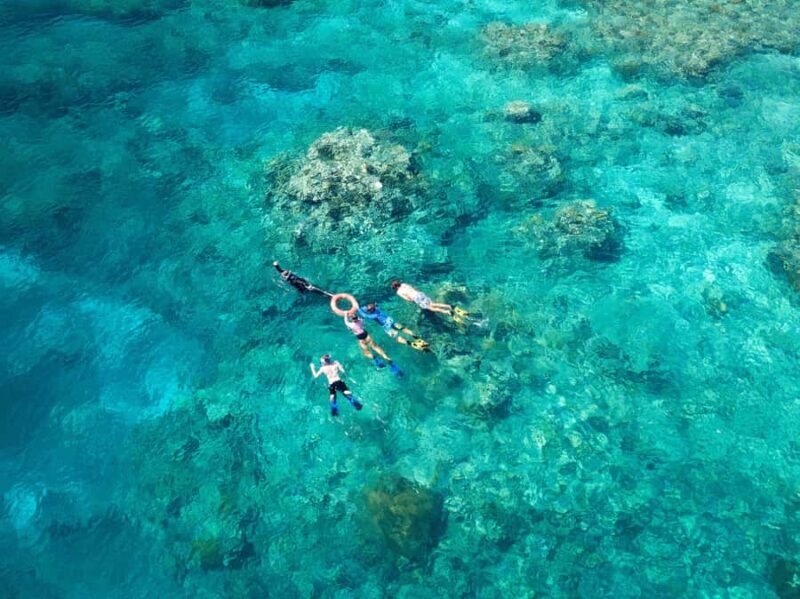 Cairns: Snorkelling and Diving Reef Day Trip - What You Can Expect on This Reef Day Trip