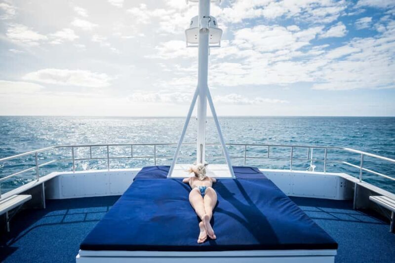 Cairns: Snorkelling and Diving Reef Day Trip - Who Should Consider This Tour?