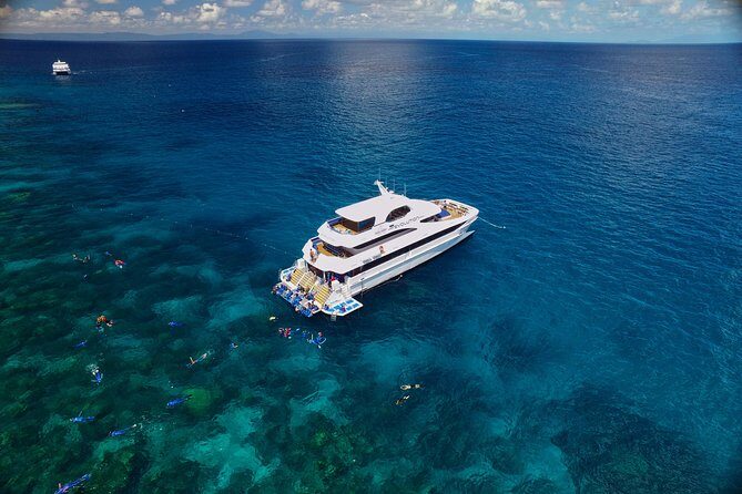 Cairns Super Saver: Reef Cruise, Daintree & Kuranda Rail/Skyrail - A Close Look at the Itinerary and What You Can Expect