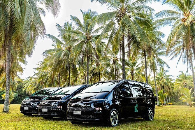 Cairns to Mission Beach ONE WAY Private Transfer 6 pax - What to Expect from the Cairns to Mission Beach Private Transfer