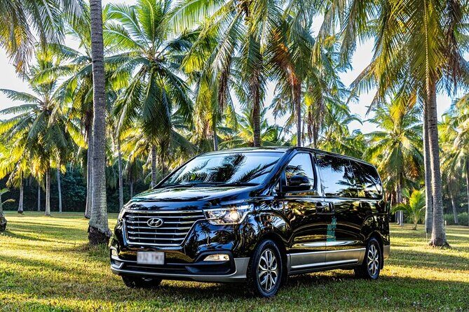 Cairns to Port Douglas ONE WAY Private Transfer 6 pax - What the Reviews Reveal