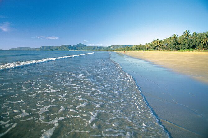 Cairns to Port Douglas ONE WAY Private Transfer 6 pax - The Sum Up