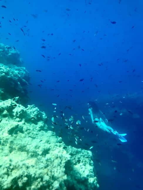 Cala Codolar: Sea & Caves Kayaking Tour with Snorkeling - FAQ