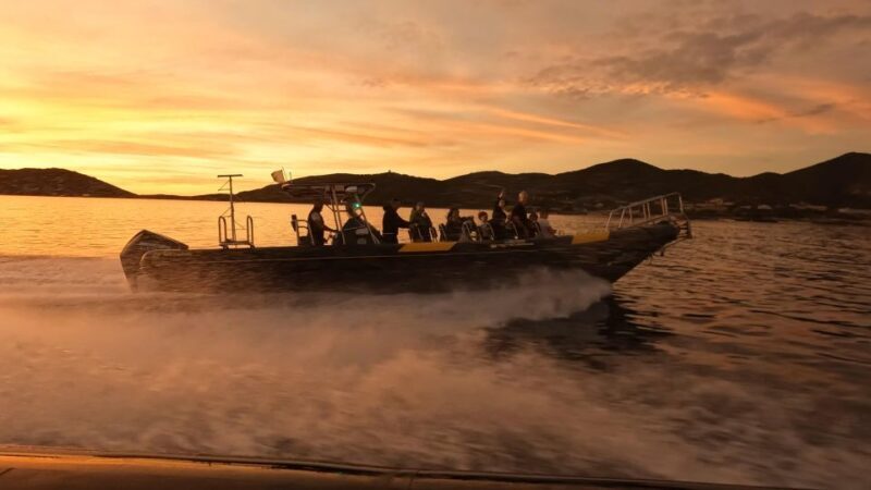 Cala d'Orzu Sunset, Cacoa and Snorkeling - Who Will Love This Tour?