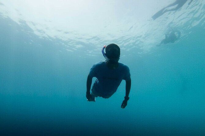 Cala Gonone Snorkeling in the Orosei Gulf - Key Points