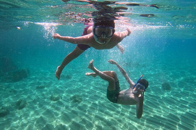 Cala Gonone Snorkeling in the Orosei Gulf - Authentic Experiences and Real Guests’ Feedback