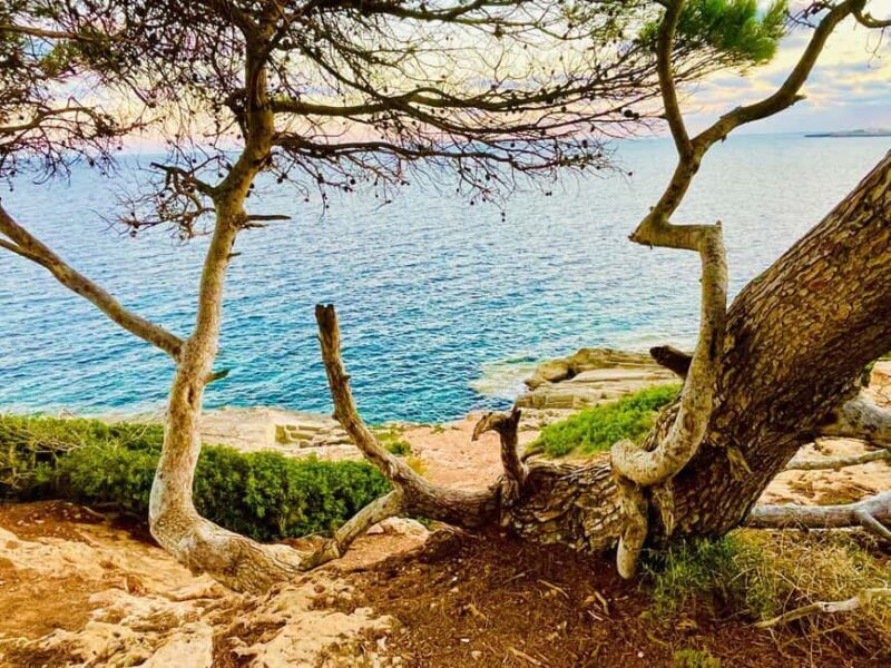 Cala Millor: real treasure hunt in natural reserve, fun walk - What is the Treasure Hunt in Cala Millor?