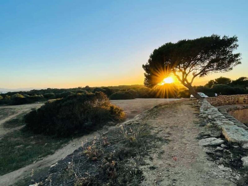 Cala Millor: real treasure hunt in natural reserve, fun walk - What About the Puzzles and Stories?