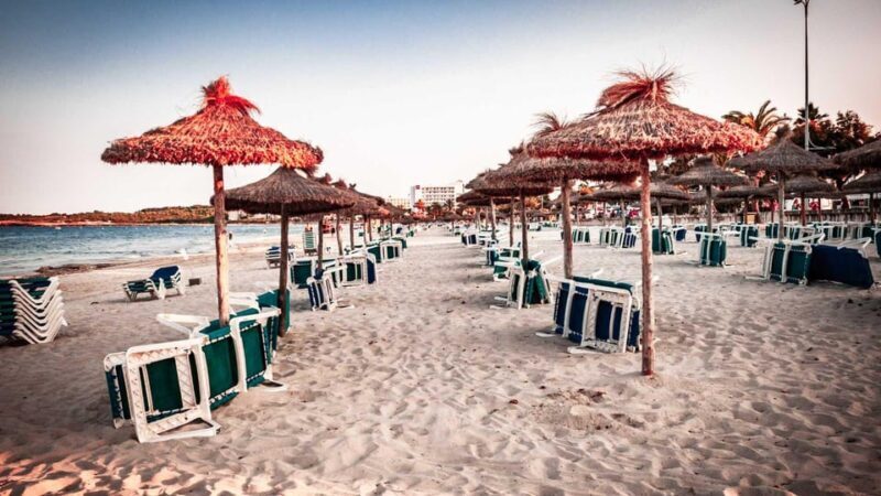 Cala Ratjada: Magical Creatures of Cala Ratjada, family walk - Real-Life Insights and Considerations