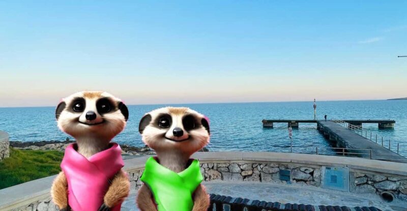 Cala Ratjada: Magical Creatures of Cala Ratjada, family walk - Who Should Consider This?