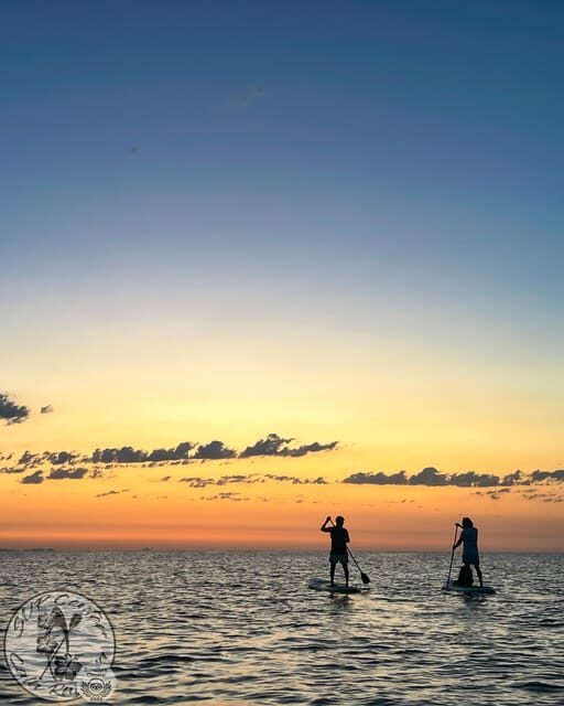 Cala Ratjada: Stand Up Paddle Sunrise Tour - Practical Details & Value
