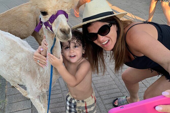 Calabrian Alpacas Sunset Beach Experiences Pizzo VV AlpacSelfies - FAQ