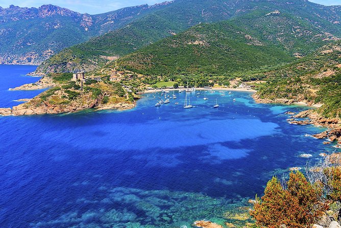 Calanches de Piana and Scandola Reserve cruise with swimming stop - The Captain and Crew Make a Real Difference