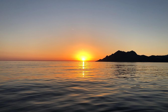 Calanches de Piana and Scandola Reserve cruise with swimming stop - Should You Actually Book This?